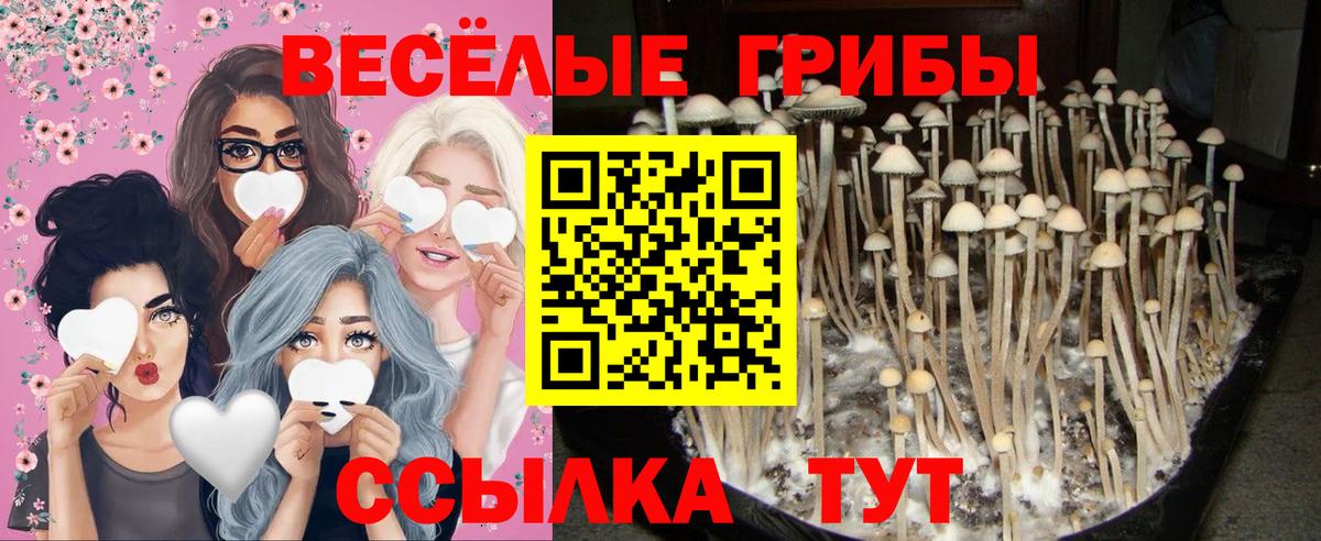 Галлюциногенные грибы ЛСД  Вход с VPN  Благодарный  Псилоцибиновые грибы Magic Shrooms 