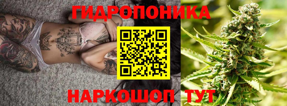 Канабис конопля Благодарный